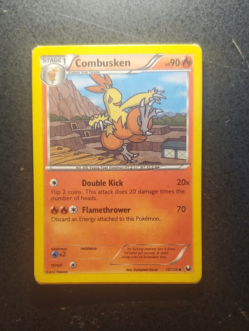 Pokemon Combusken Card - Yellow & Orange